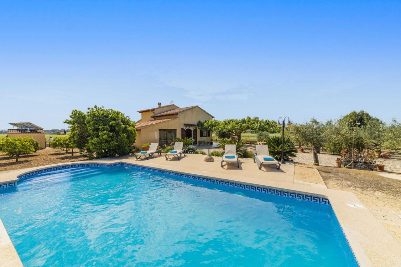Villa Vernissa Santa Margalida Ngoại thất bức ảnh